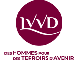 Logo lvvd