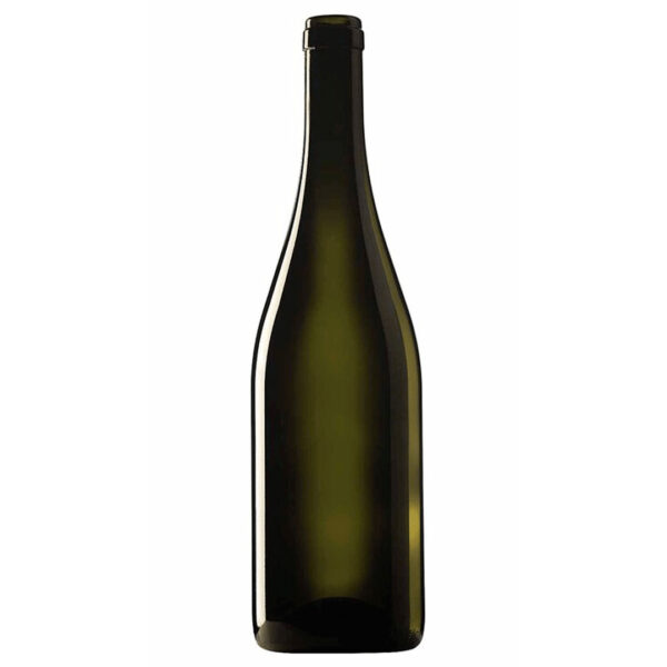 BOUTEILLE BOURGOGNE EVOLUTION 75CL