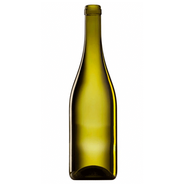 Bouteille bourgogne evolution eco 75cl