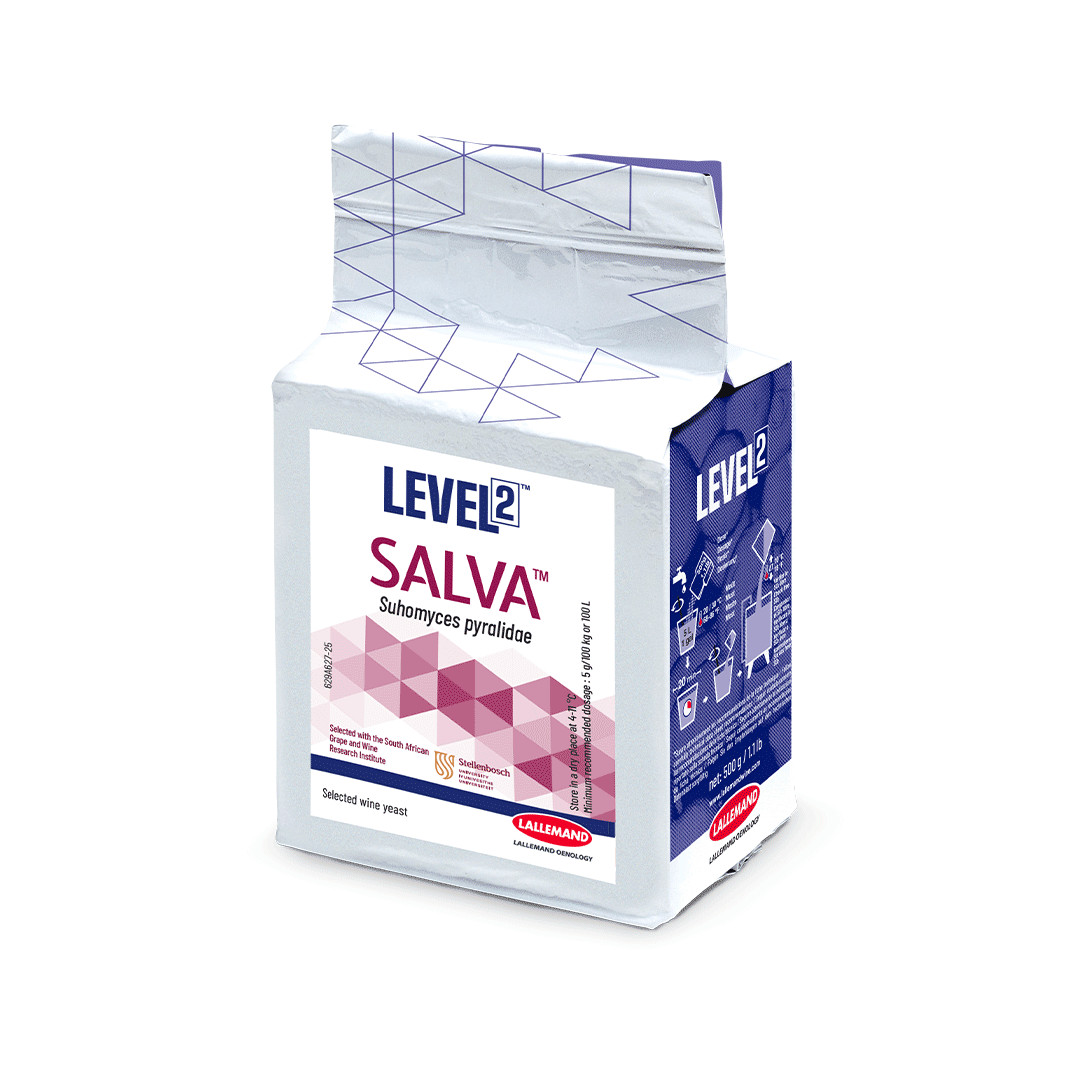 LEVURE IOC LEVEL 2 SALVA