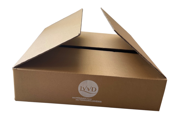 CARTON 6 BOUTEILLES EXPORT A PLAT CARRE ECRU