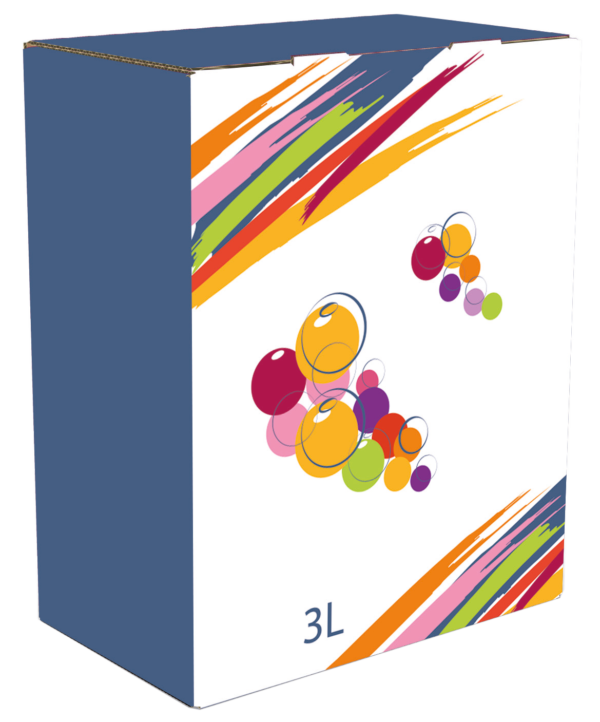 CARTON BIB 3L "VIN DES COPAINS"