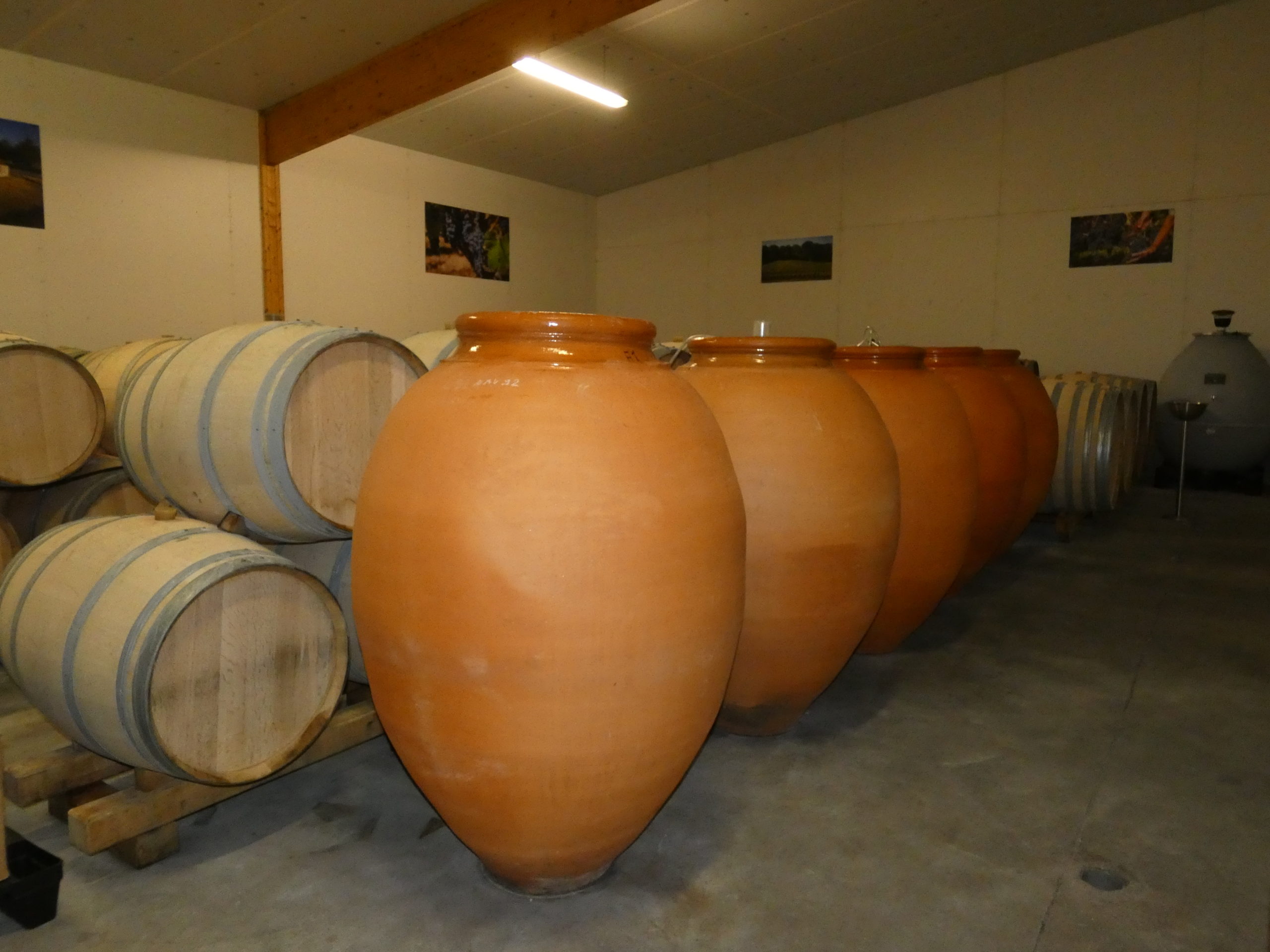 La vinification en amphore, quels avantages oenologiques