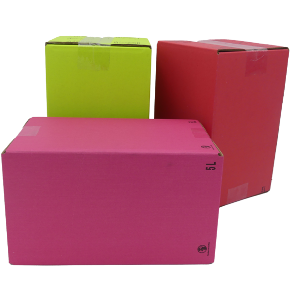 CARTON BIB COLOR BOX