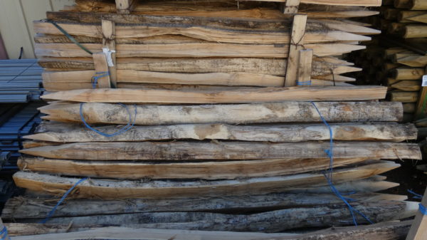 Piquet de tête acacia écorce